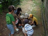 img0021.jpg