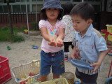 img0032.jpg
