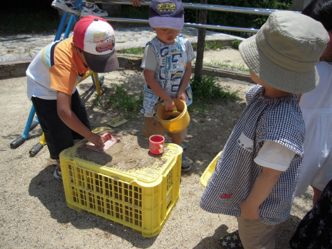 img0006.jpg