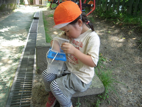 img0018.jpg