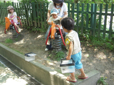 img0021.jpg