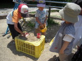 img0006.jpg