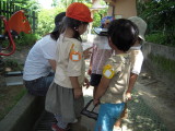 img0013.jpg