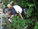 img0015.jpg