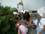 img0016.jpg