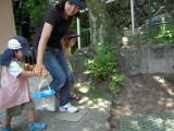 img0019.jpg