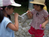 img0006.jpg
