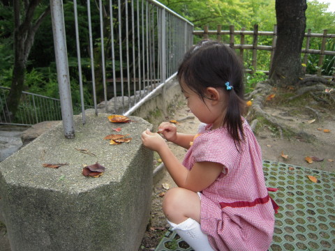 img0007.jpg