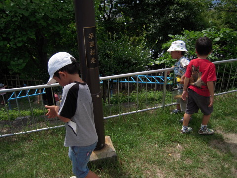 img0020.jpg