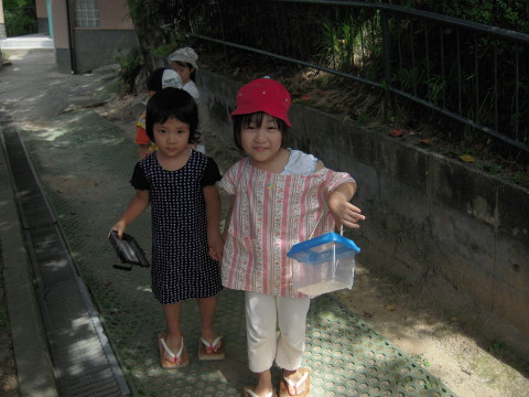 img0028.jpg