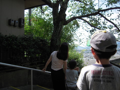 img0037.jpg