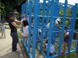 img0010.jpg