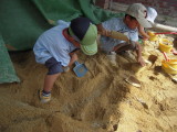img0015.jpg