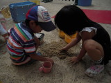 img0017.jpg