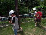 img0020.jpg