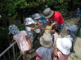 img0024.jpg