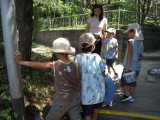 img0036.jpg