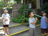 img0038.jpg