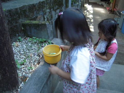 img0004.jpg