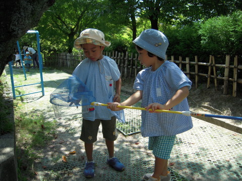 img0013.jpg
