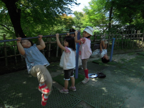 img0019.jpg