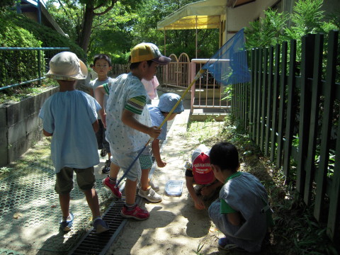 img0033.jpg