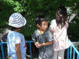 img0006.jpg