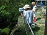 img0012.jpg