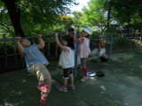 img0019.jpg