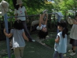 img0020.jpg