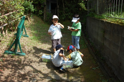 img0002.jpg