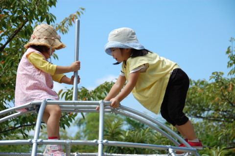 img0007.jpg