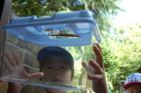 img0001.jpg