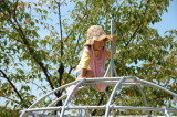 img0006.jpg