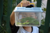 img0016.jpg