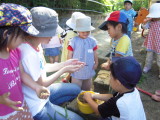 img0019.jpg