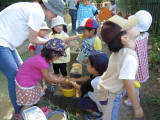 img0020.jpg