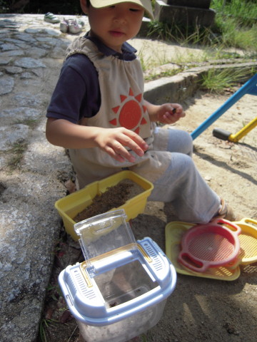 img0012.jpg