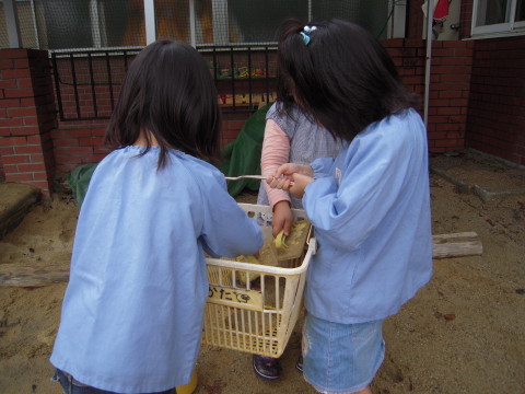 img0029.jpg