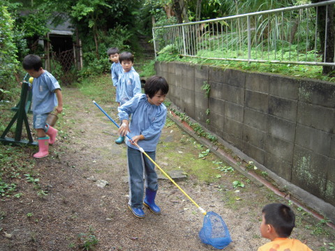 img0037.jpg