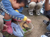 img0001.jpg