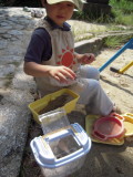 img0012.jpg