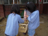 img0029.jpg