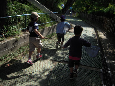 img0005.jpg