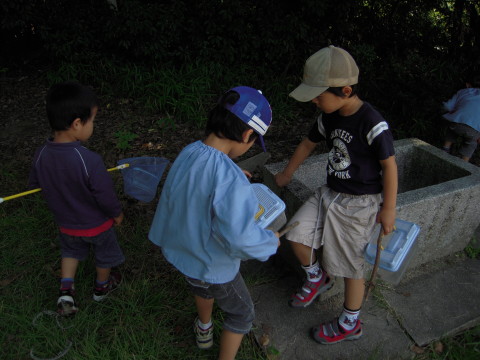 img0015.jpg