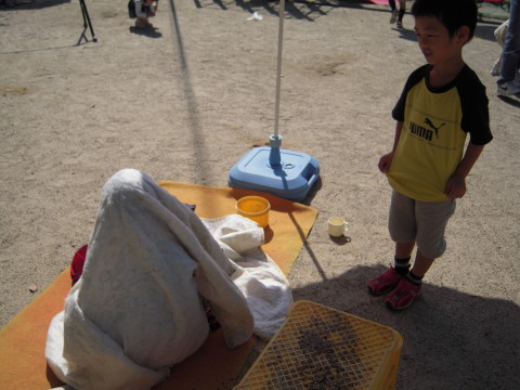 img0019.jpg