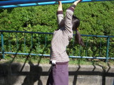 img0012.jpg