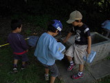 img0015.jpg