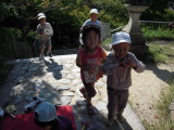 img0016.jpg