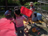 img0020.jpg